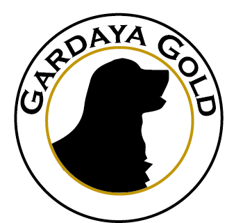 Elevage de Golden Retriever GardaGold